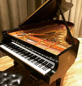 An Image Of Steinway & Sons Model B Grand Piano Put On By Piano Tuner Emrich Piano Service