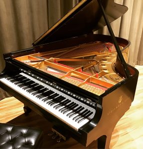 An Image Of Steinway & Sons Grand Piano Put On By Emrich Piano Service