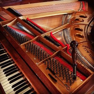 An Image Of Steinway & Sons Grand Piano Tuning Put On By Emrich Piano Service
